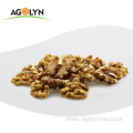 Nutrition walnut kernels in good quality and prices